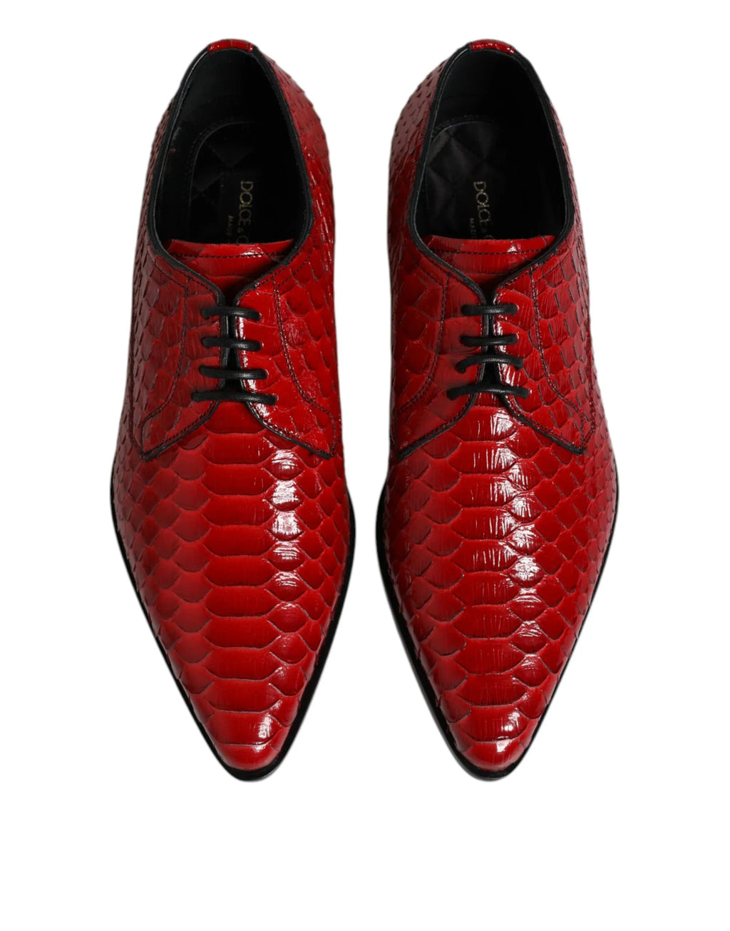 Dolce & Gabbana Red Exotic Leather Lace Up Dress Derby Shoes - Zeiniez