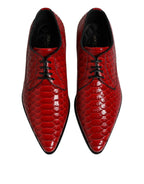 Dolce & Gabbana Red Exotic Leather Lace Up Dress Derby Shoes - Zeiniez