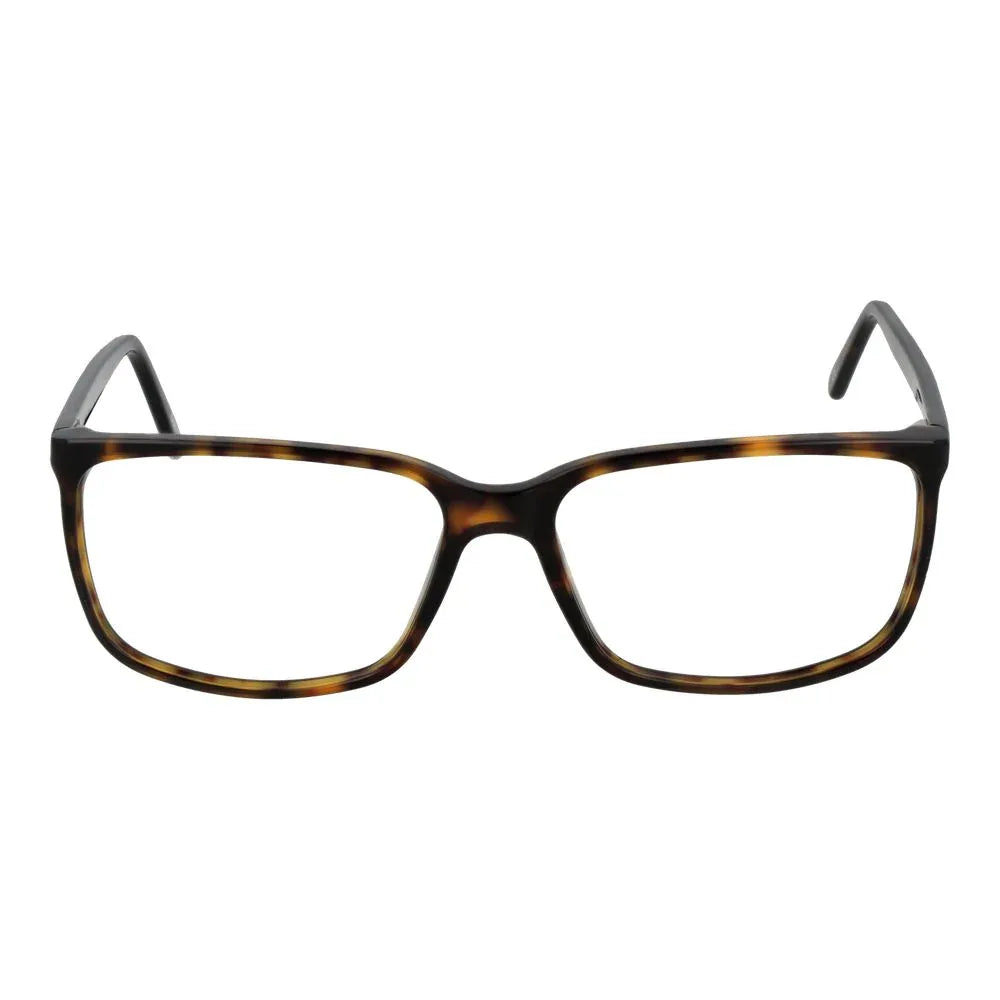 Andy Wolf Brown Acetate Glasses (Frames) - Zeiniez