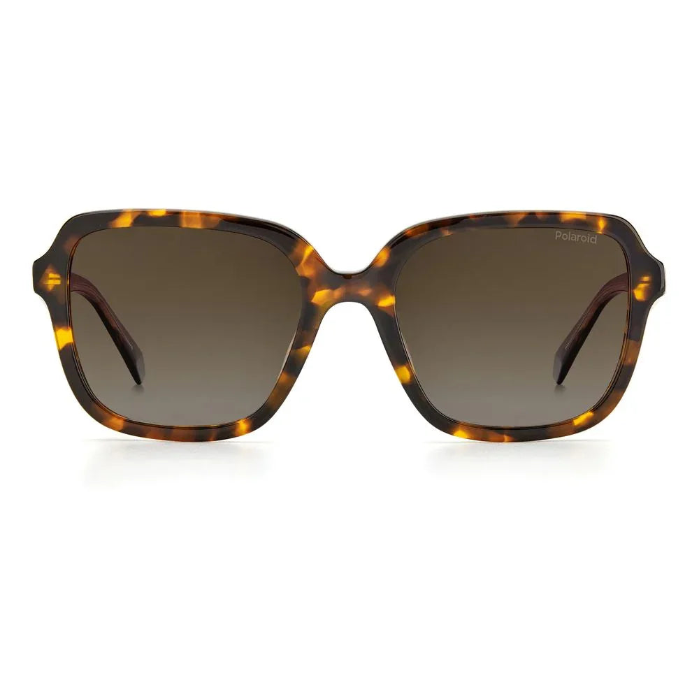 Polaroid Brown Acetate Sunglasses - Zeiniez