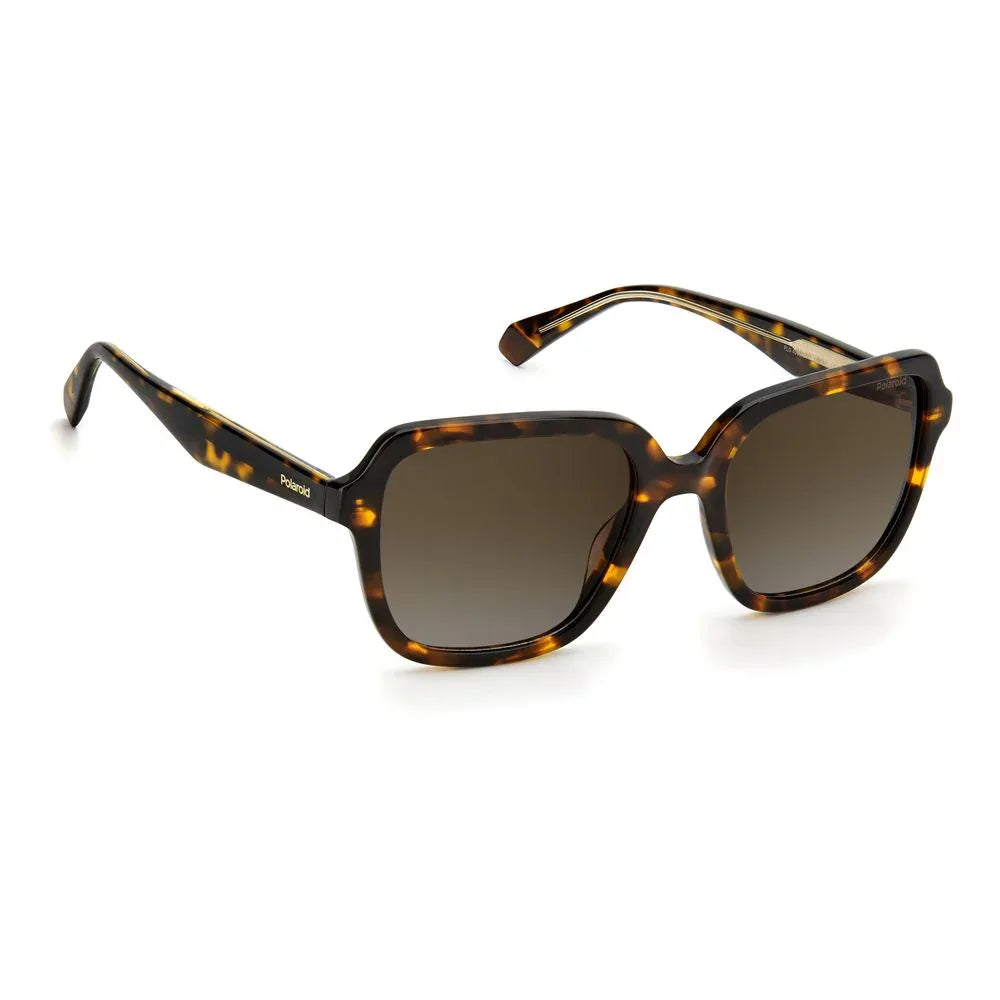 Polaroid Brown Acetate Sunglasses - Zeiniez