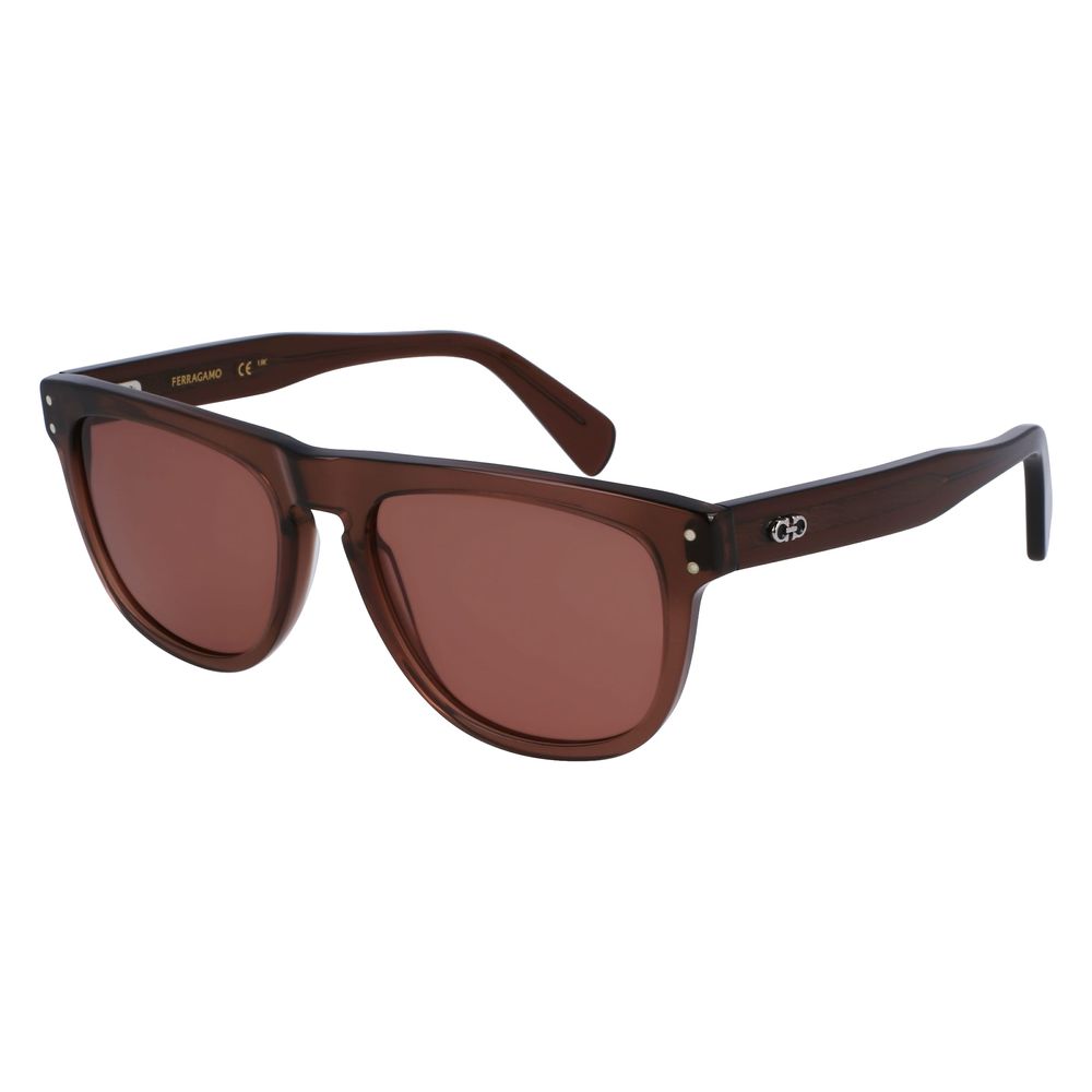 Ferragamo Brown Acetate Sunglasses - Zeiniez
