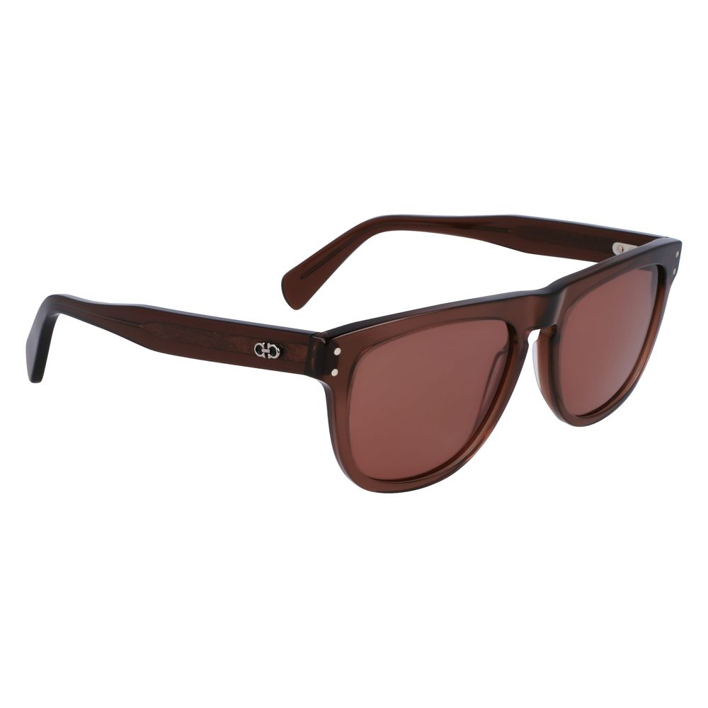 Ferragamo Brown Acetate Sunglasses - Zeiniez