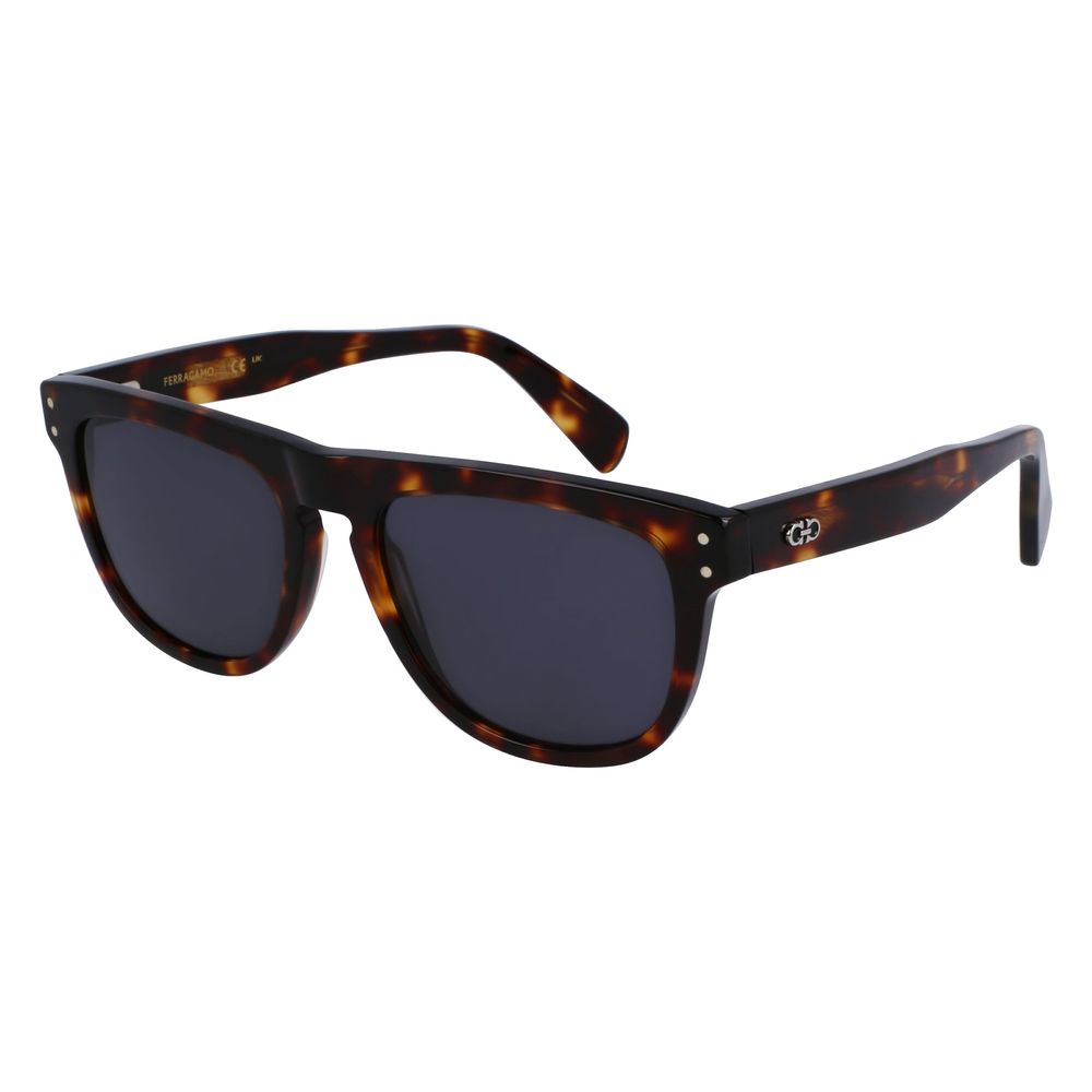 Ferragamo Brown Acetate Sunglasses - Zeiniez