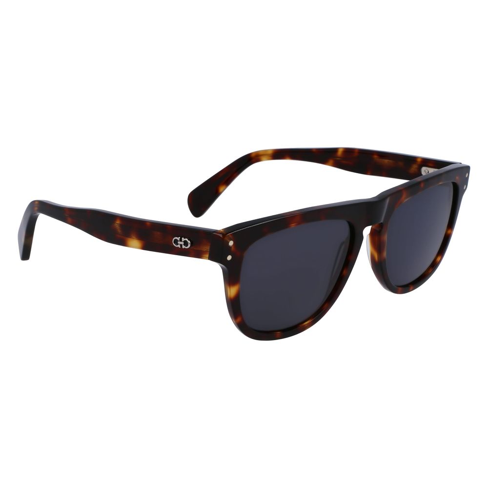 Ferragamo Brown Acetate Sunglasses - Zeiniez