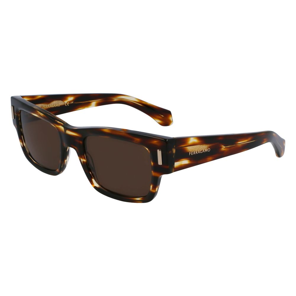 Ferragamo Brown Acetate Sunglasses - Zeiniez