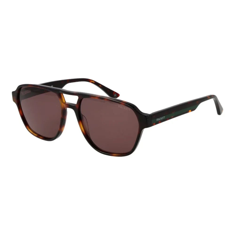 Hackett Brown Acetate Sunglasses - Zeiniez